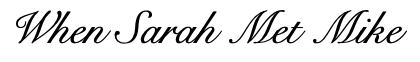 When Sarah Met Mike Logo